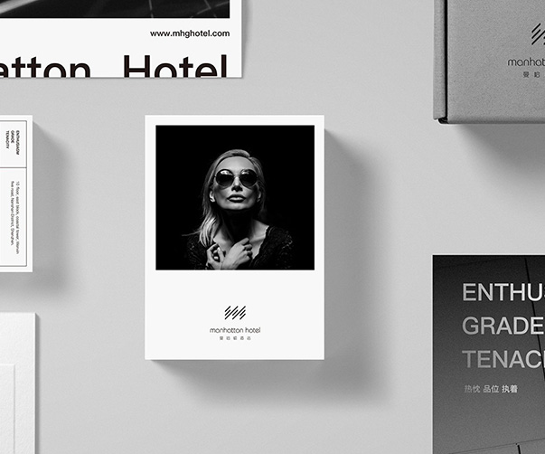 大紅鷹VI設計_完美展現品牌風采