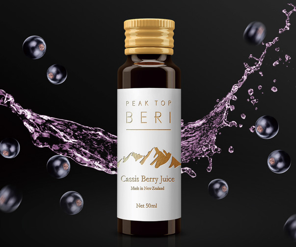 特色設計|目標摩托車|專業革新|VI設計創造經典